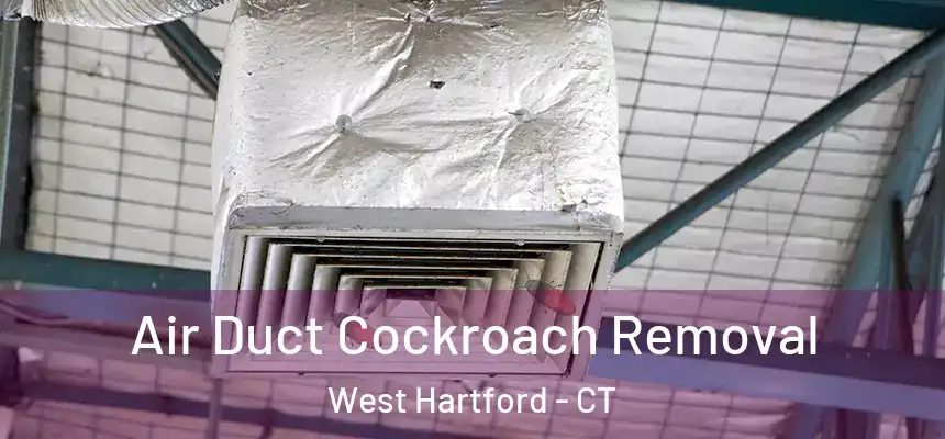 Air Duct Cockroach Removal West Hartford - CT