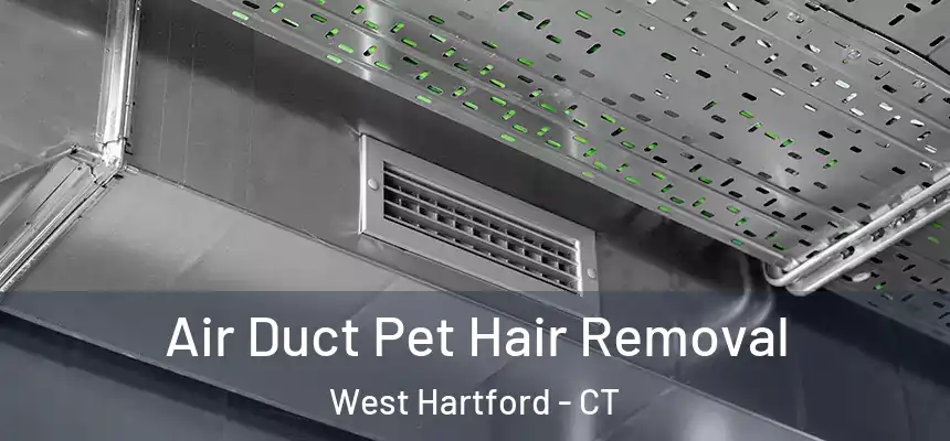 Air Duct Pet Hair Removal West Hartford - CT
