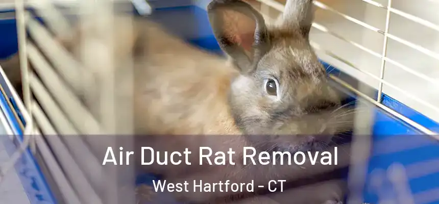 Air Duct Rat Removal West Hartford - CT