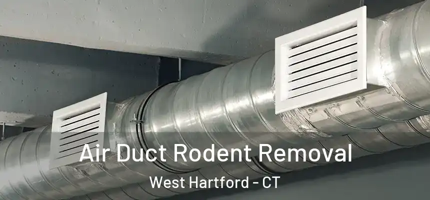 Air Duct Rodent Removal West Hartford - CT