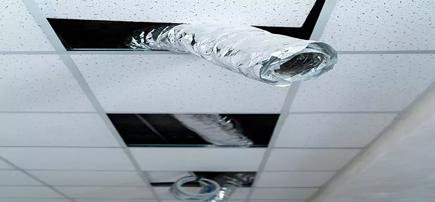 Our Air Duct Pet Hair Removal Services in West Hartford, CT