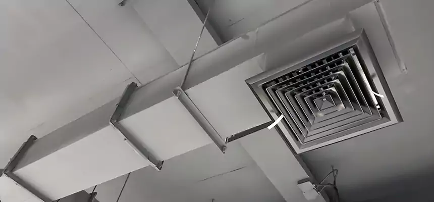 Our Rodent Droppings In Vents Services in West Hartford, CT