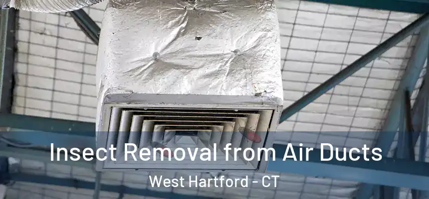Insect Removal from Air Ducts West Hartford - CT