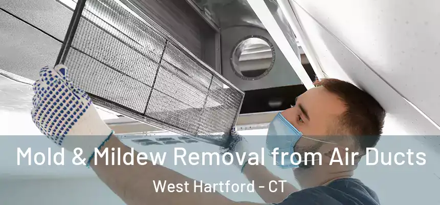 Mold & Mildew Removal from Air Ducts West Hartford - CT