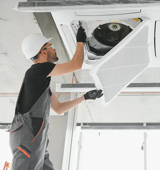 About Air Duct Rodent Removal in West Hartford, CT