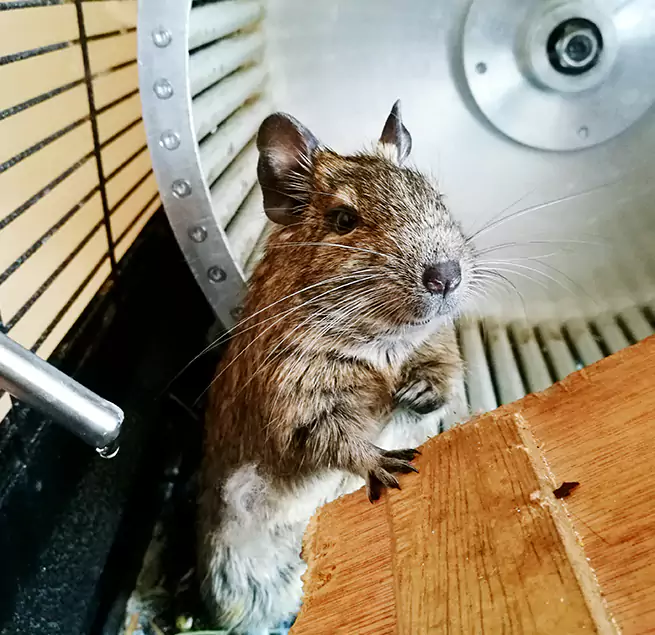 Why Homeowners & Businesses Trust Us West Hartford, CT